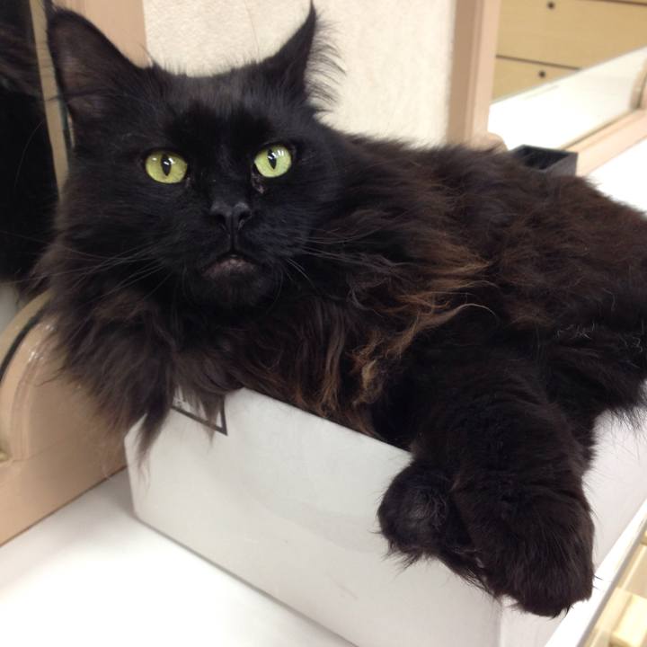 E87dc4aa 8c26 45e7 a799 d857fb17d60a