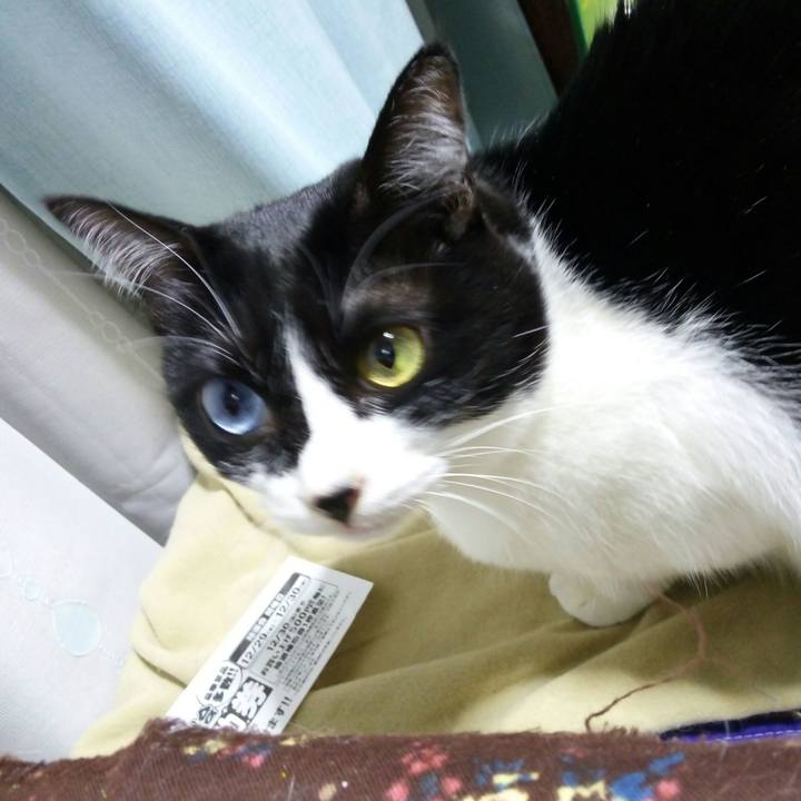 E87dd8f1 2b0d 48dd a778 ddf09b449098