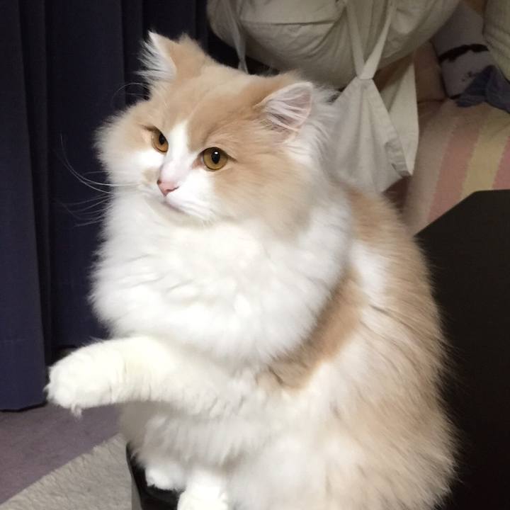 E87de110 d87a 48c7 a975 902afb1081bf