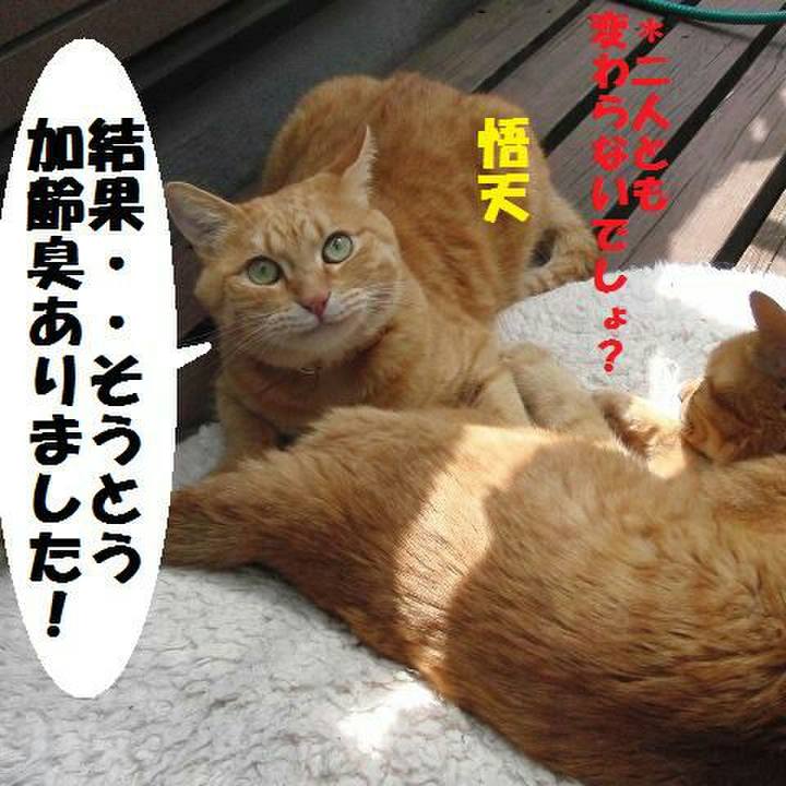 E87e0eda 041d 43b7 97bb 53d1b265f86e