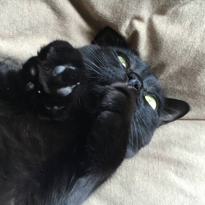 E87e3d27 32ed 46c5 a378 bd89079c3e50