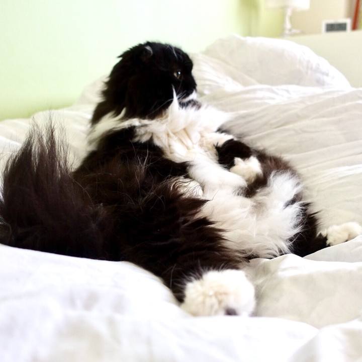 E87e48bb c8b2 4720 8df5 0f516a07a992