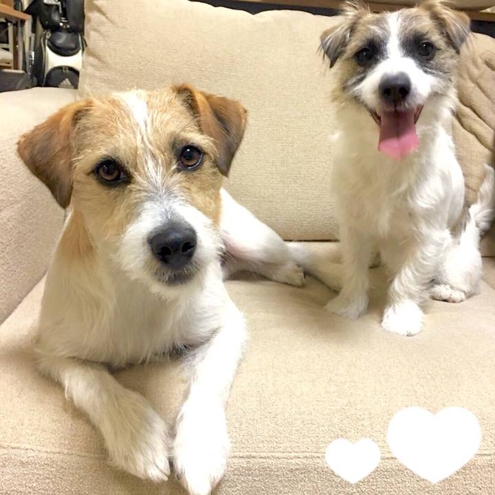 E87e83de 1742 475d a2ea 7bc288f4a81e