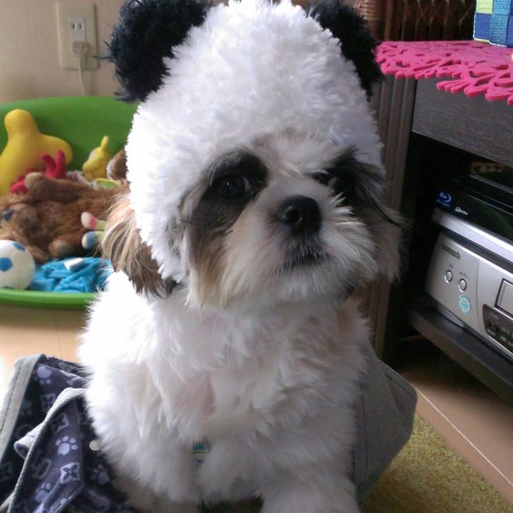 E87f2196 1fb4 4e33 b59d 3bfb1c8e5158