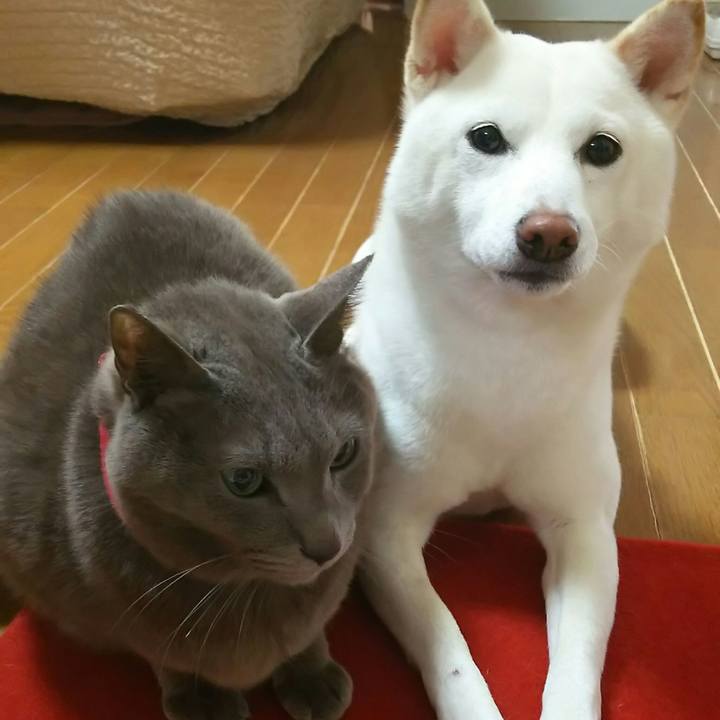 E87f7a6c 3de2 44d6 9068 bb8019ffee65