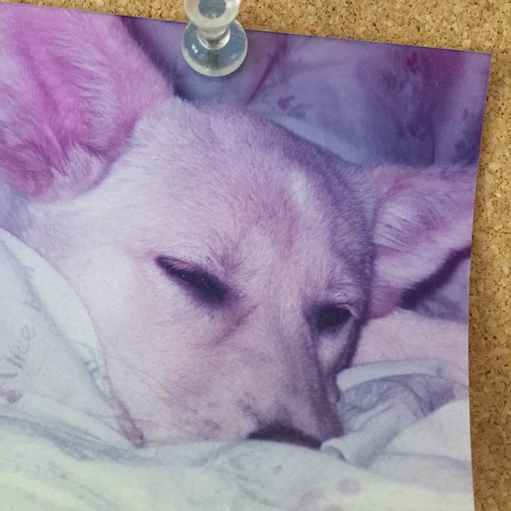 E8805b8a b563 47cd 8d76 523afbbaeac0