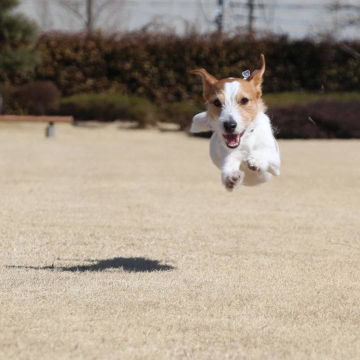 E8806b63 e029 418f 84ab b939a2a3de00