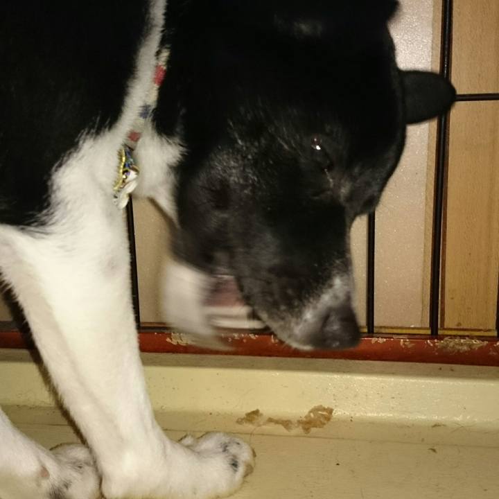 E8811f86 2e84 4d58 8f70 ad8e899b5b33