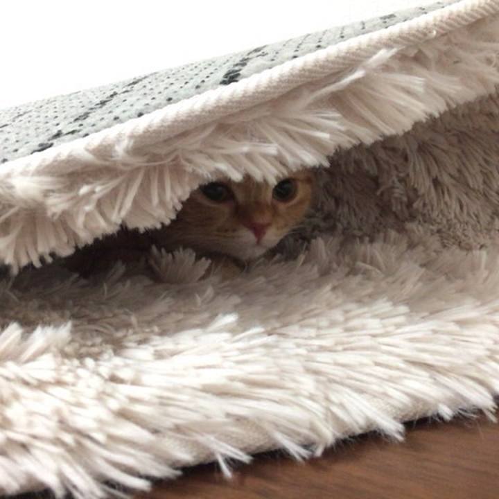 E881e396 6e3e 4e26 ba04 a70f7aa52f29