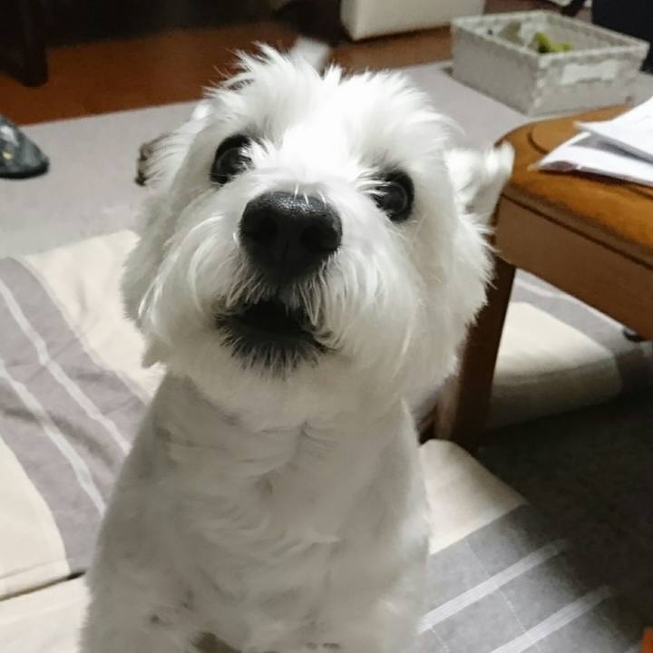 E881e548 36de 4f87 89b6 f86d0babae6c