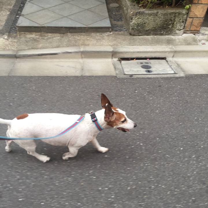 E88216b5 a3ca 41c9 855f 1bf30952777b