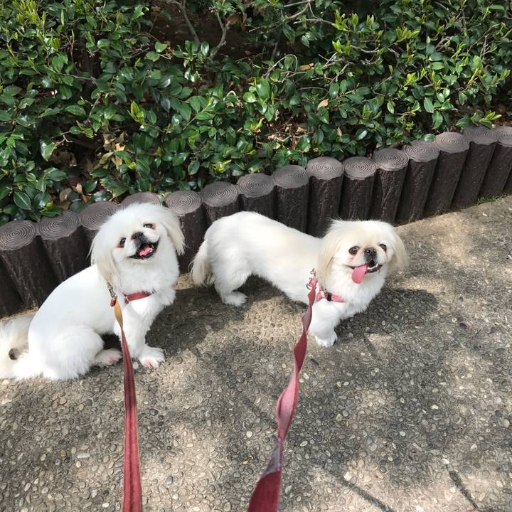 E8831c00 eddc 4c06 b781 17570abbdabb