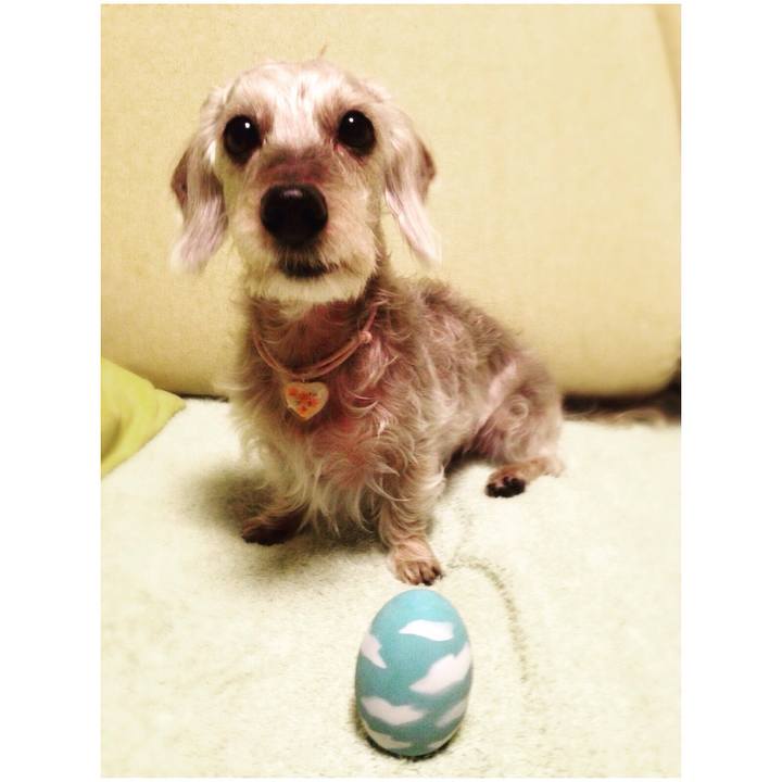 E883bfd7 1668 476c a6bf 47fa166c92eb