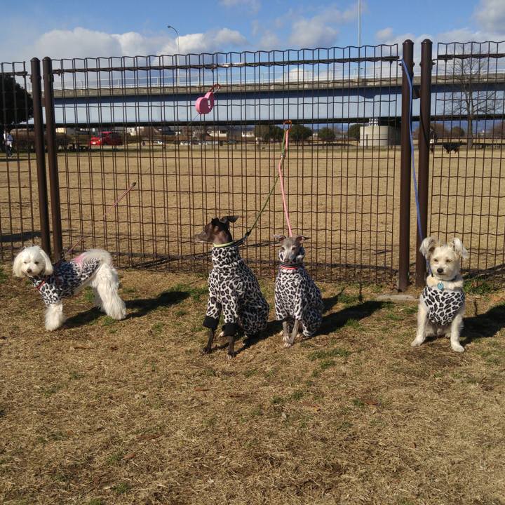 E8847d99 267b 422b bba3 8906feb0c870