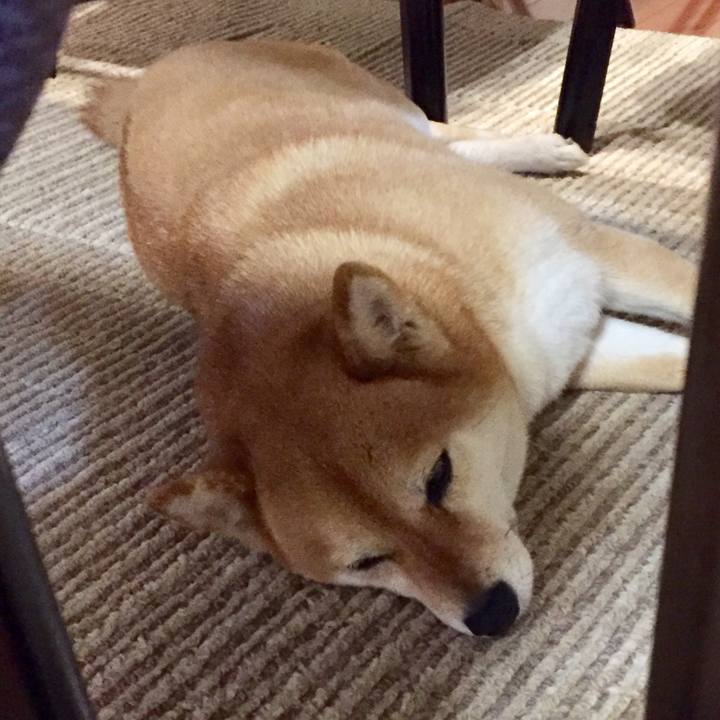 E884d76a c624 4889 a1e8 3e72020c54b4