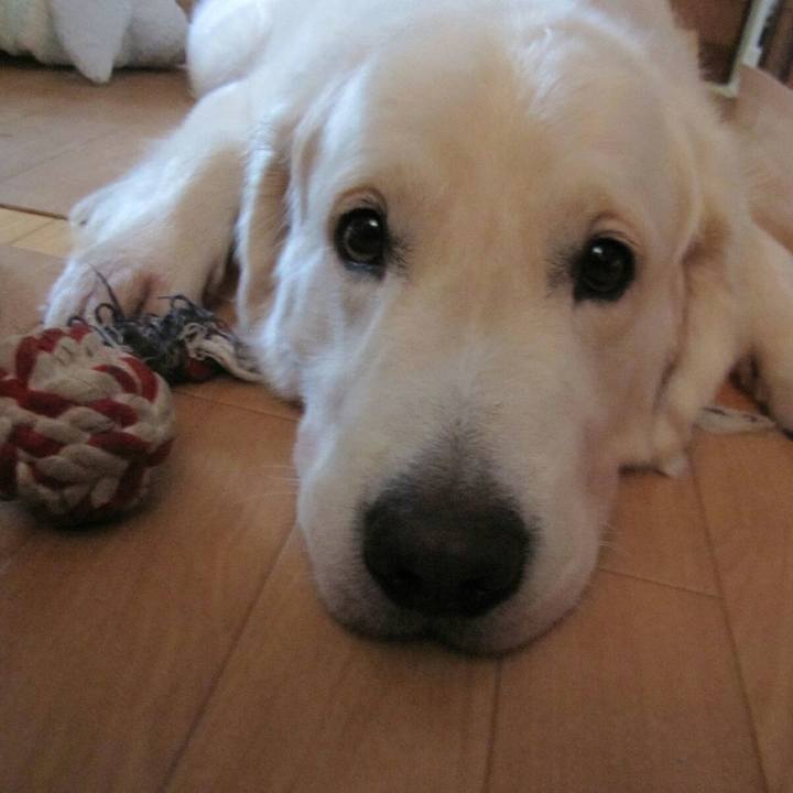 E885aeb1 dc41 4c47 8d19 e10fb62c8a20