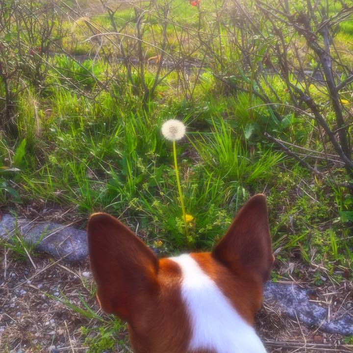 E885af25 7d05 476f 92b0 a7f8200df8ef