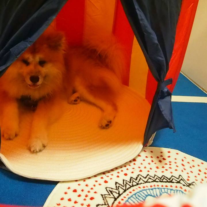 E885dd5c 255c 4185 8374 ba09c2b65054