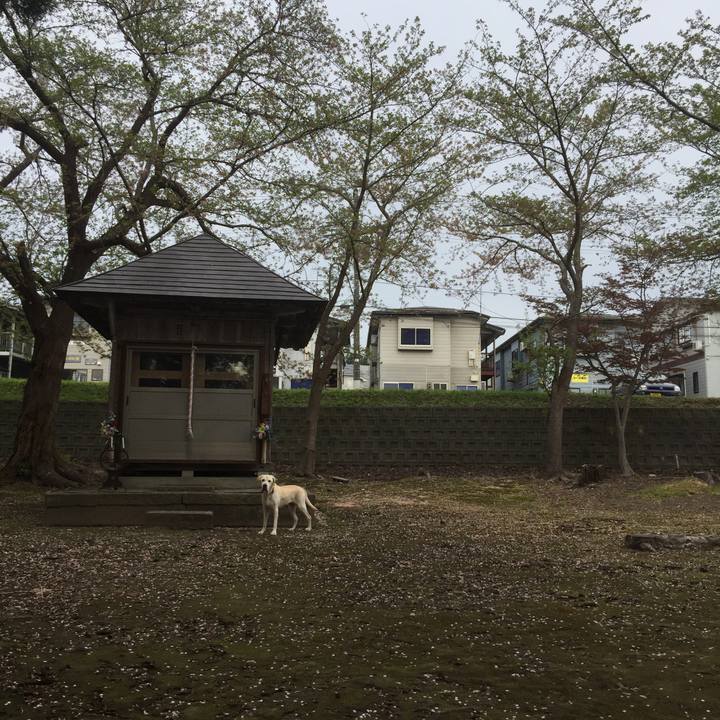 E885e067 704b 491e a5a0 2ccba27ca84e