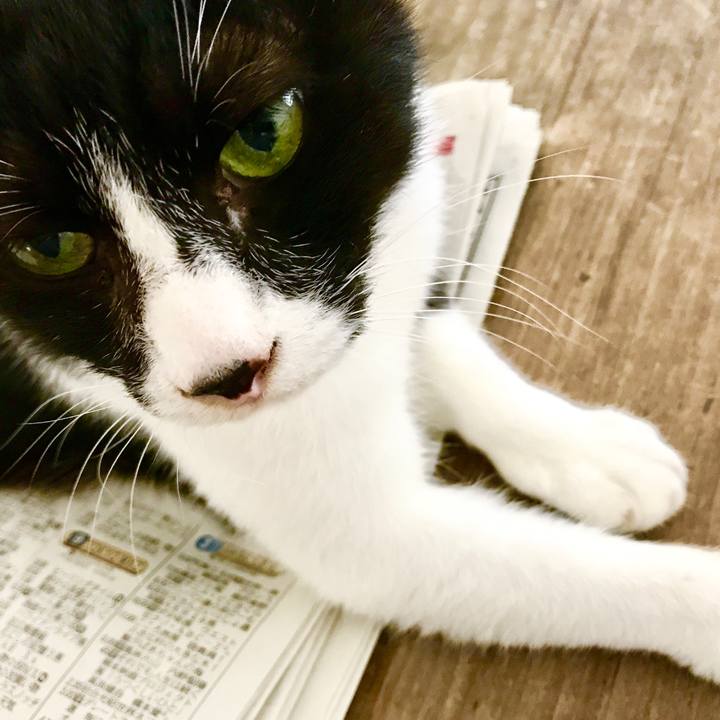 E8868768 3a1f 4b89 9d93 47075e487846