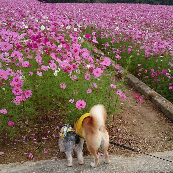 E8869036 1938 41cf 8fe3 539a8cd1bf34