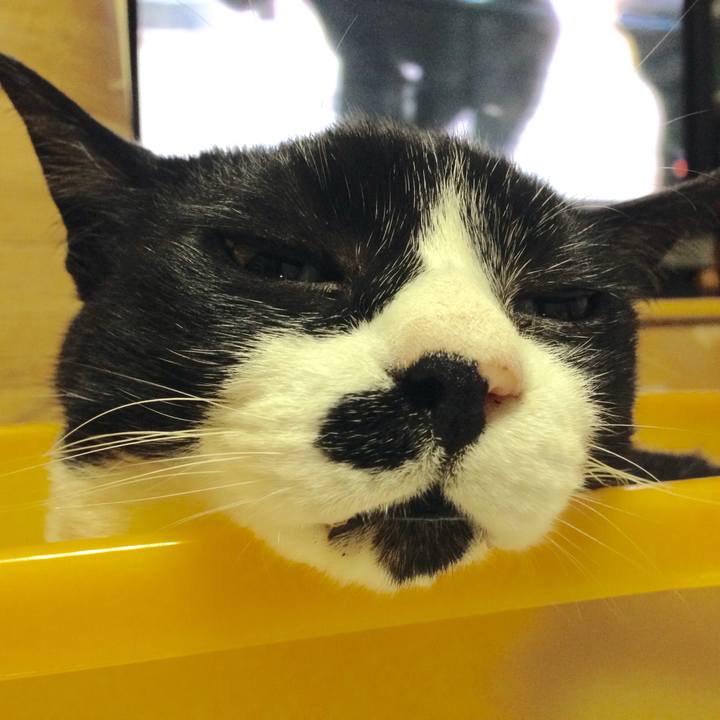 E8871290 96b2 4eb0 bb84 d1f00b3a808f