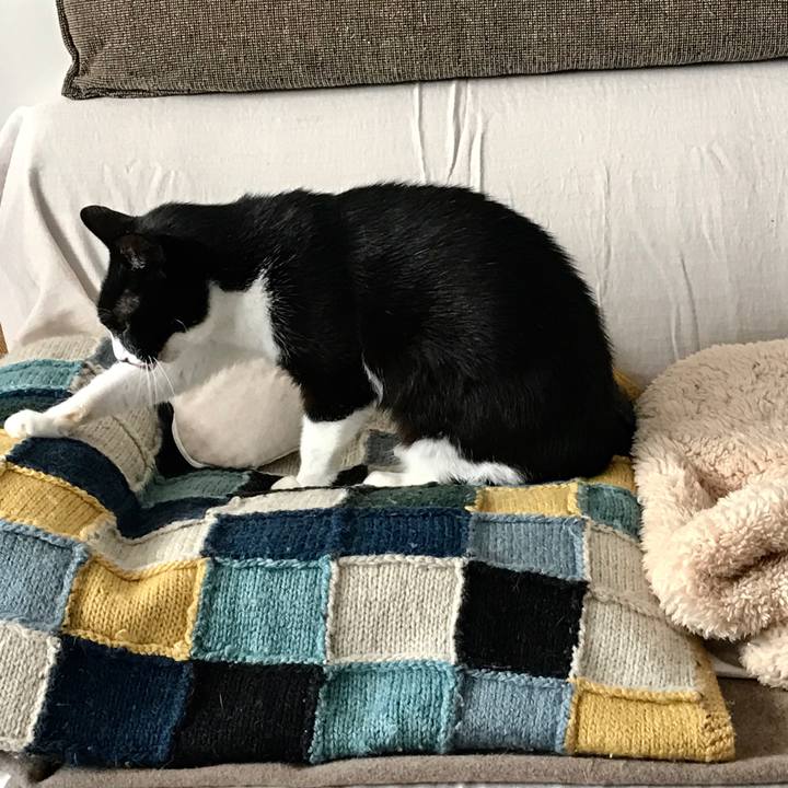 E8882d1f 2dbf 429d 9741 3c47709d2163