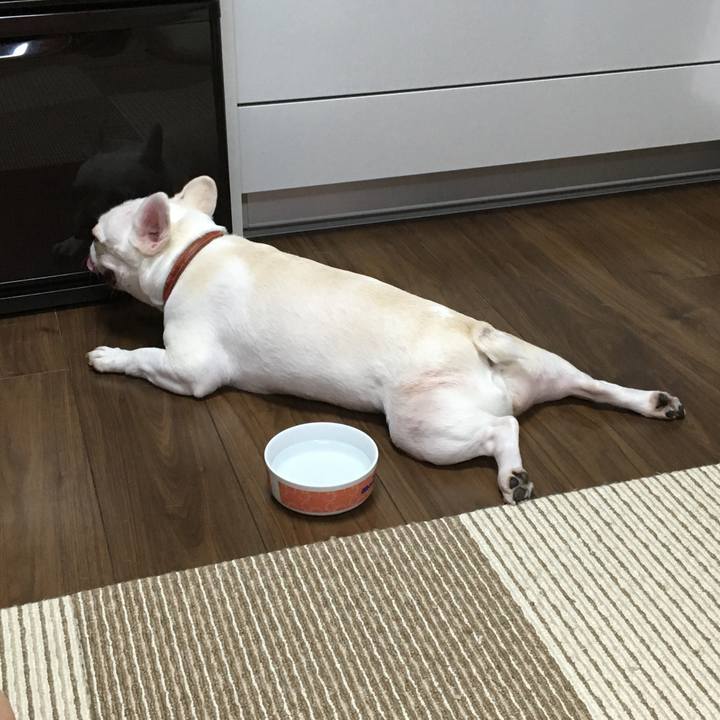 E888d747 3007 4b34 a04a 8c0c5777c6f5