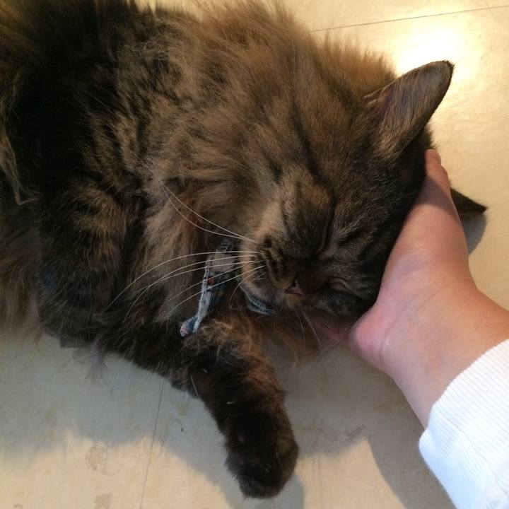 E8890b30 ba0b 4d82 827d 14ca3c6e0f11