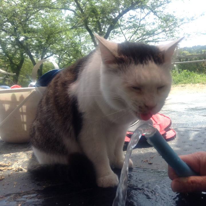 E8893428 ccfc 4e3f 822a 1a26a6c76340