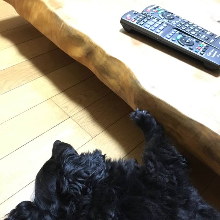 E88a5995 c202 47f4 a6a6 b2e57eb8288f