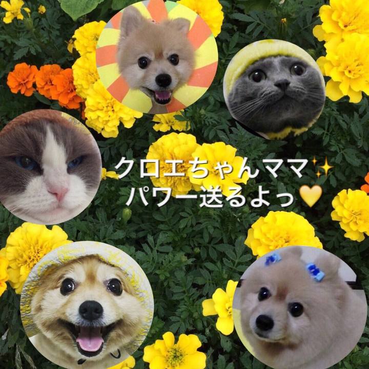 E88aaf82 0e55 44a2 9c2a 9fc148123ac8