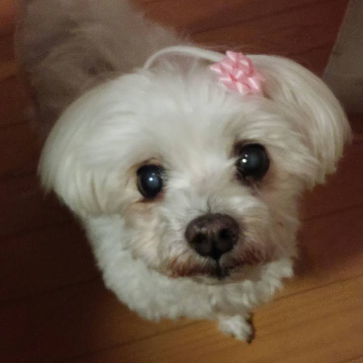 E88af9f1 725a 45df 9b9d 13b4c61a4aac