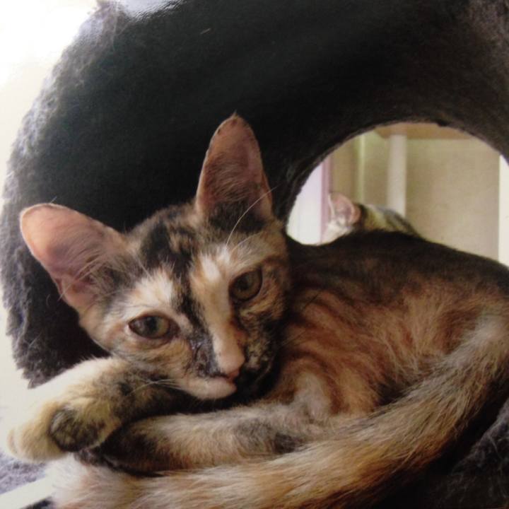 E88b6a50 7903 4015 9164 26f63acbde92