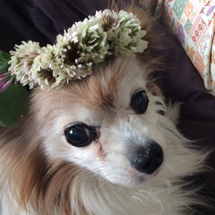 E88bc23c 7bd6 4b70 ac33 eaa93f0e87c7