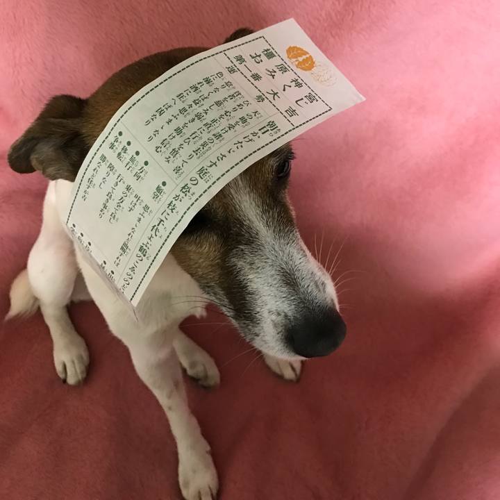 E88bdd30 d2e9 44eb b55c a1646e91803b