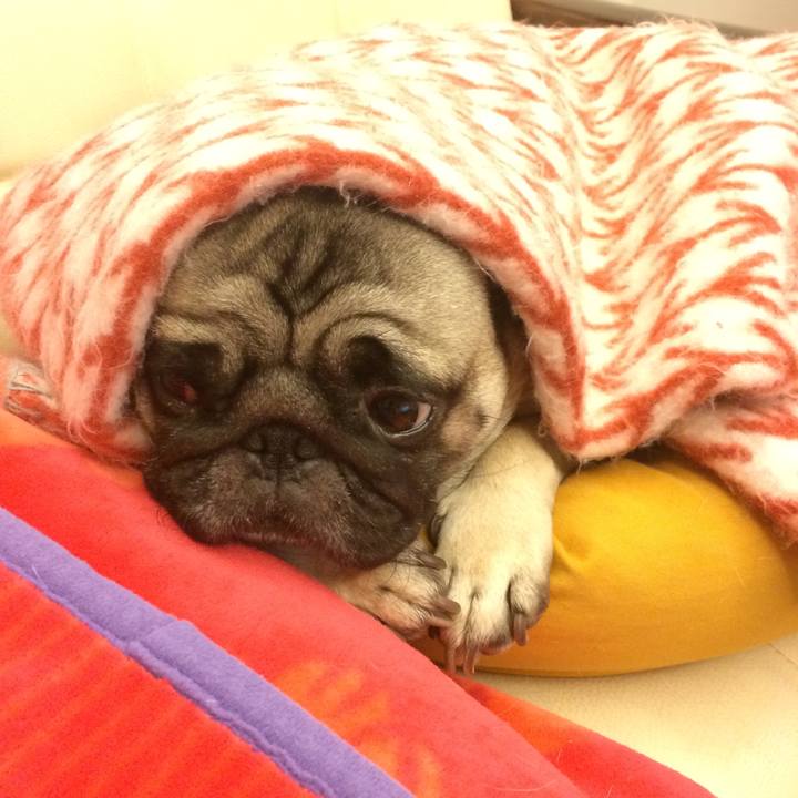 E88c2a87 c698 4e65 9f74 8ba348181ae2