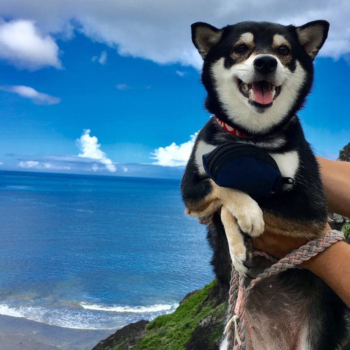 E88c5464 e377 41e4 89ca 0f526f170070