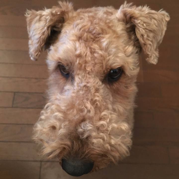 E88c9d4a 2a52 4fc8 b3cd 58b6ef4822c7