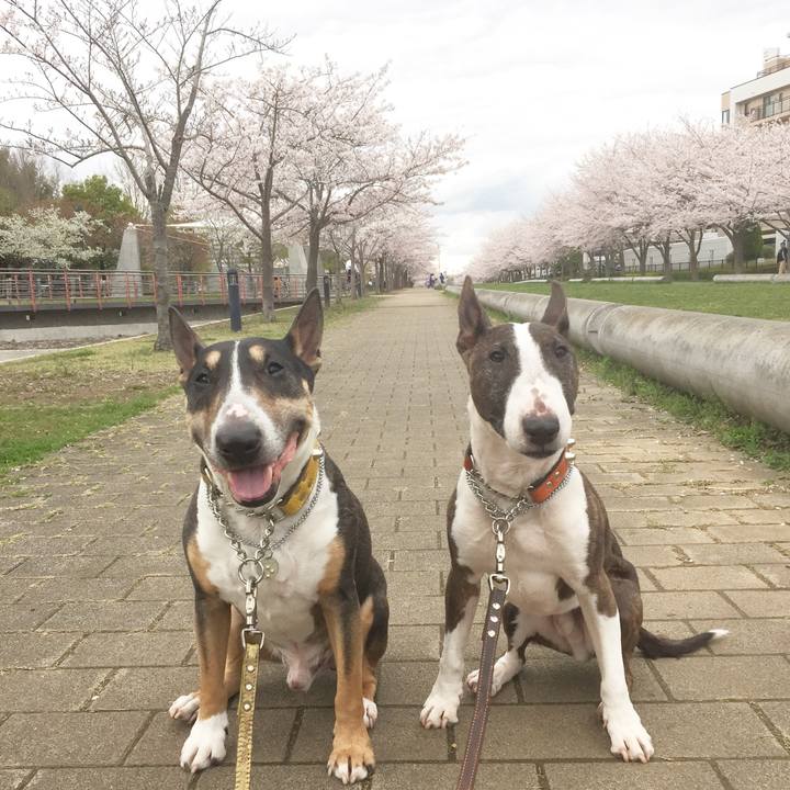 E88d67c4 a4be 4e18 a582 fd7a2dbd691a