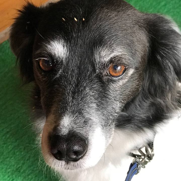 E88d969f a347 4cf3 9d98 14c81958e5ff