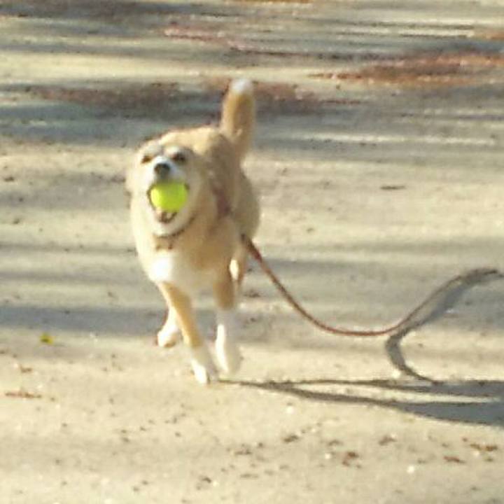 E88dd911 c054 4878 861e 464b9bd48ce6