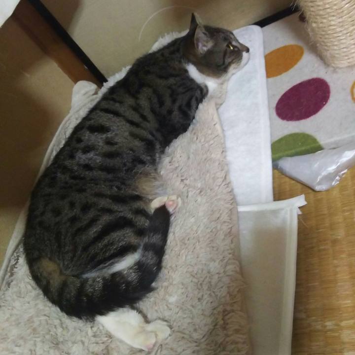 E88e0a60 07ec 46a2 a07a 906114699eef