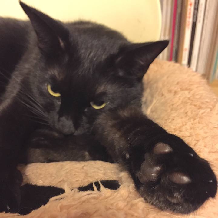 E88e6cfa 8d91 4ef4 9878 1e6080108fa6