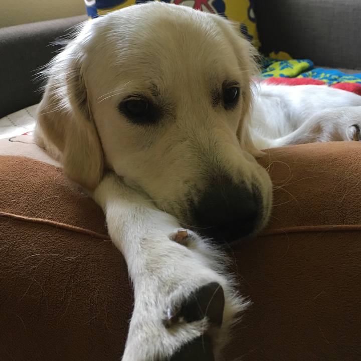 E88ea073 8fad 429f 8cb8 2abbc1a85850