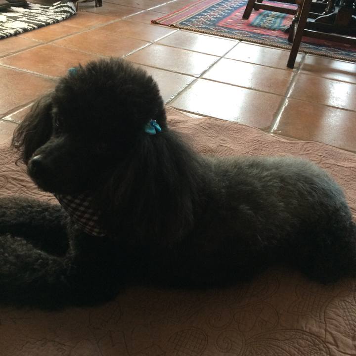 E88ea8a7 a987 494a a78c 8090b8377272