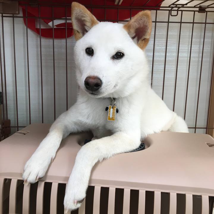 E88f6990 59e6 4eee b8d4 ecf367654126