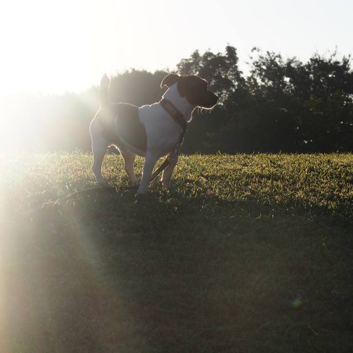 E88fa3be 8e26 47c6 a126 56b81bc5a804