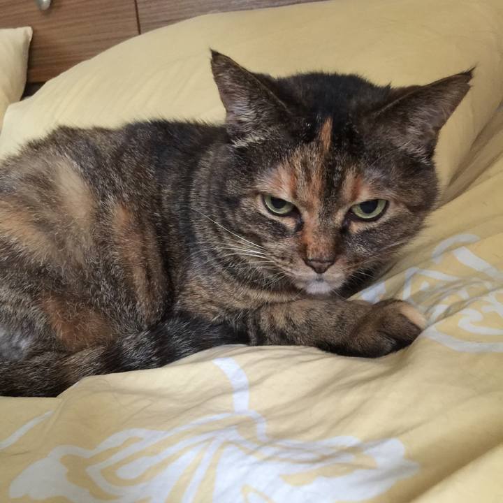 E88fca18 b0ed 42ce a6fa b25869c78f2d