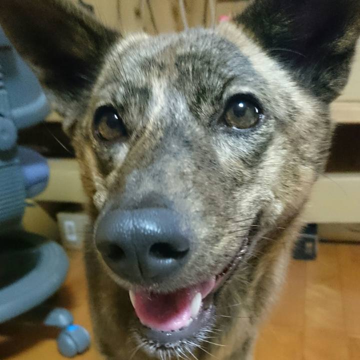 E88fea64 ff8b 4244 821c a96e885258c9